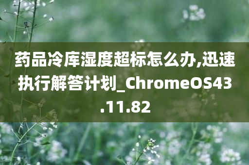 药品冷库湿度超标怎么办,迅速执行解答计划_ChromeOS43.11.82