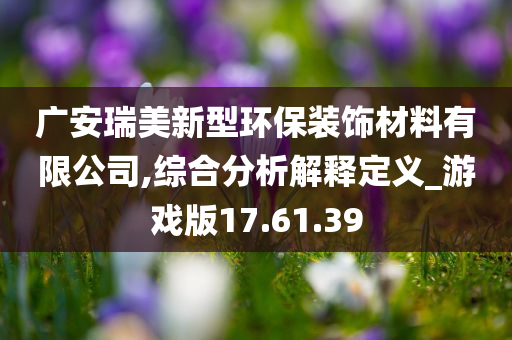 广安瑞美新型环保装饰材料有限公司,综合分析解释定义_游戏版17.61.39