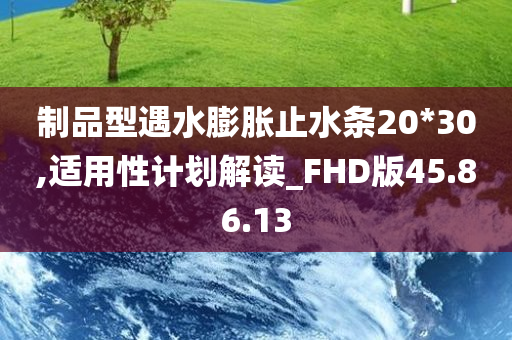 制品型遇水膨胀止水条20*30,适用性计划解读_FHD版45.86.13