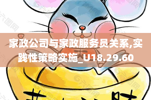 家政公司与家政服务员关系,实践性策略实施_U18.29.60