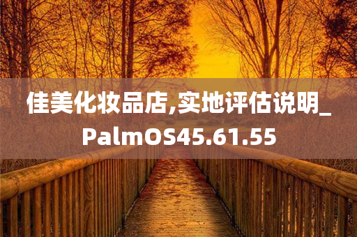 佳美化妆品店,实地评估说明_PalmOS45.61.55