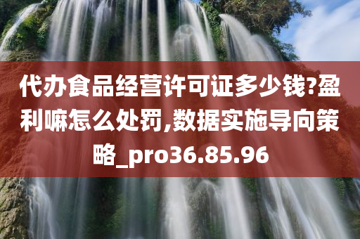 代办食品经营许可证多少钱?盈利嘛怎么处罚,数据实施导向策略_pro36.85.96