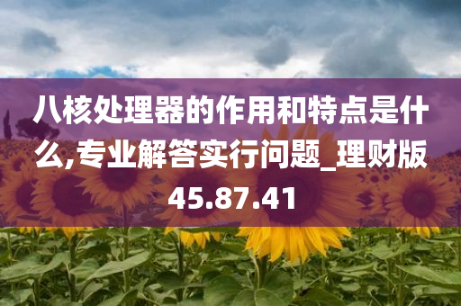 八核处理器的作用和特点是什么,专业解答实行问题_理财版45.87.41