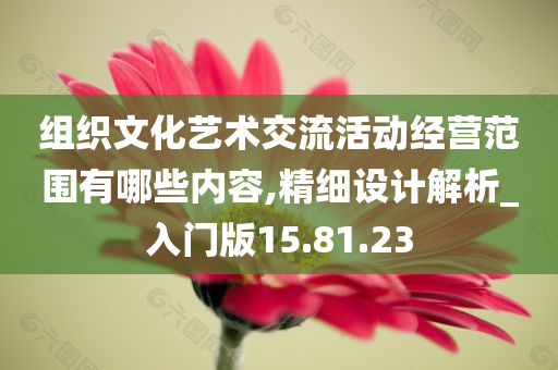 组织文化艺术交流活动经营范围有哪些内容,精细设计解析_入门版15.81.23