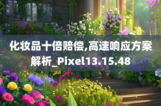 化妆品十倍赔偿,高速响应方案解析_Pixel13.15.48