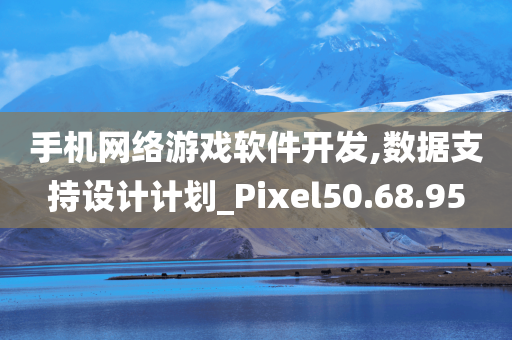 手机网络游戏软件开发,数据支持设计计划_Pixel50.68.95