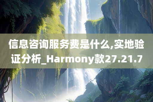 信息咨询服务费是什么,实地验证分析_Harmony款27.21.70