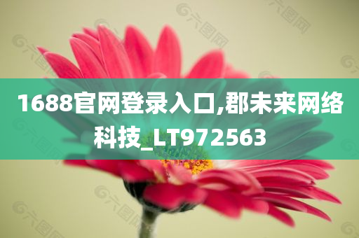 1688官网登录入口,郡未来网络科技_LT972563