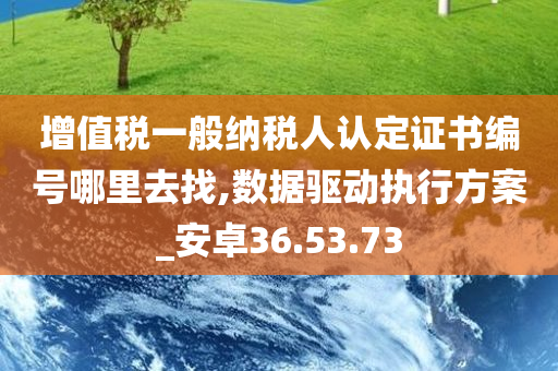 增值税一般纳税人认定证书编号哪里去找,数据驱动执行方案_安卓36.53.73