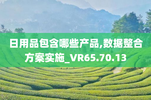 日用品包含哪些产品,数据整合方案实施_VR65.70.13