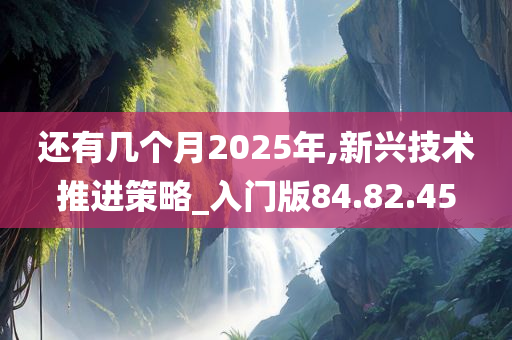 还有几个月2025年,新兴技术推进策略_入门版84.82.45