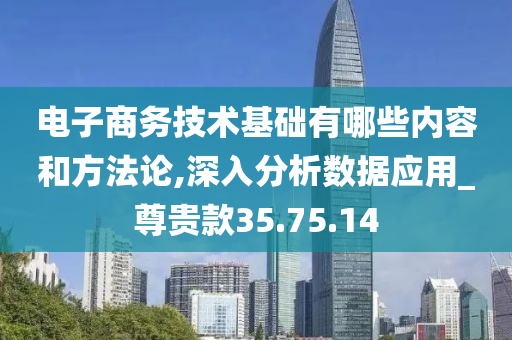 电子商务技术基础有哪些内容和方法论,深入分析数据应用_尊贵款35.75.14