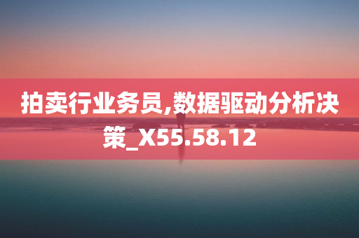 拍卖行业务员,数据驱动分析决策_X55.58.12