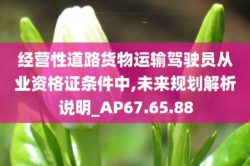 经营性道路货物运输驾驶员从业资格证条件中,未来规划解析说明_AP67.65.88