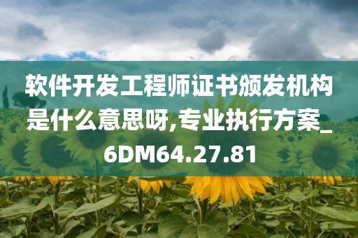 软件开发工程师证书颁发机构是什么意思呀,专业执行方案_6DM64.27.81