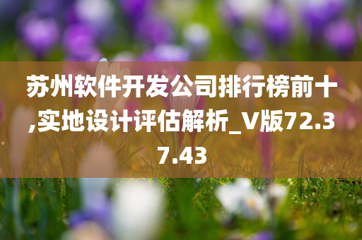 苏州软件开发公司排行榜前十,实地设计评估解析_V版72.37.43