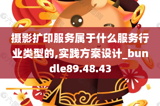 摄影扩印服务属于什么服务行业类型的,实践方案设计_bundle89.48.43