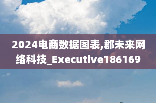 2024电商数据图表,郡未来网络科技_Executive186169