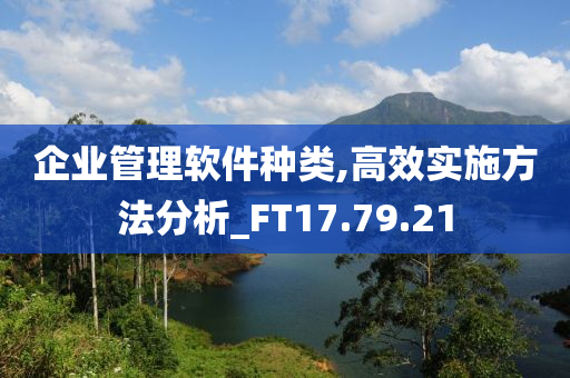 企业管理软件种类,高效实施方法分析_FT17.79.21