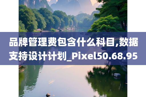 品牌管理费包含什么科目,数据支持设计计划_Pixel50.68.95