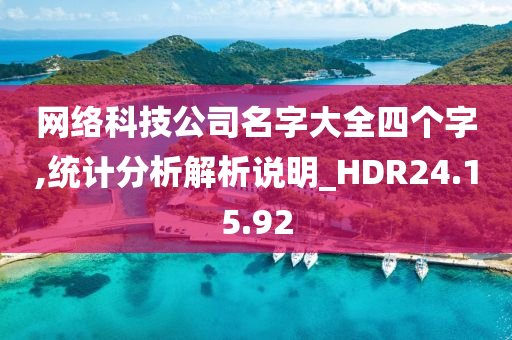 网络科技公司名字大全四个字,统计分析解析说明_HDR24.15.92