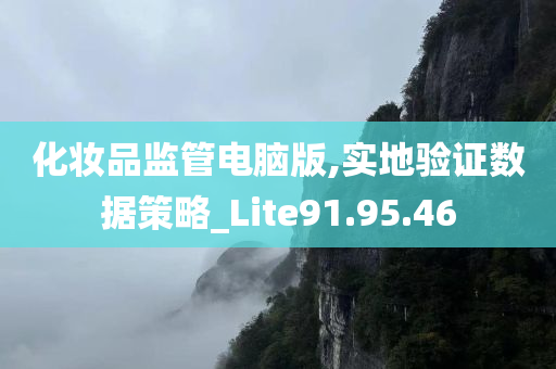 化妆品监管电脑版,实地验证数据策略_Lite91.95.46