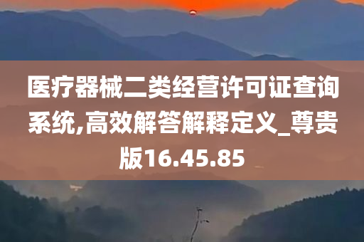 医疗器械二类经营许可证查询系统,高效解答解释定义_尊贵版16.45.85