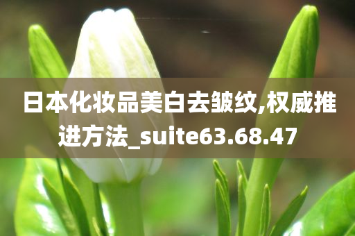 日本化妆品美白去皱纹,权威推进方法_suite63.68.47