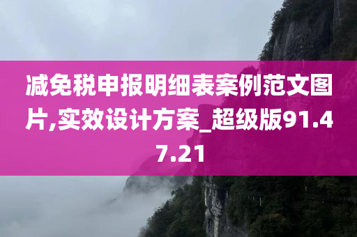 减免税申报明细表案例范文图片,实效设计方案_超级版91.47.21