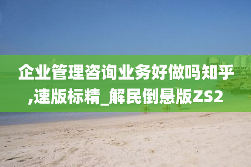 企业管理咨询业务好做吗知乎,速版标精_解民倒悬版ZS2