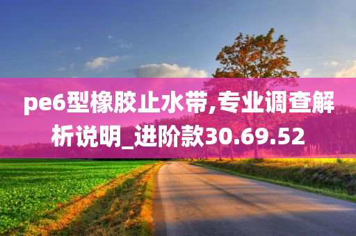 pe6型橡胶止水带,专业调查解析说明_进阶款30.69.52