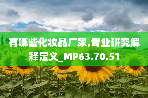 有哪些化妆品厂家,专业研究解释定义_MP63.70.51