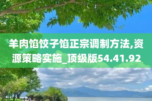 羊肉馅饺子馅正宗调制方法,资源策略实施_顶级版54.41.92