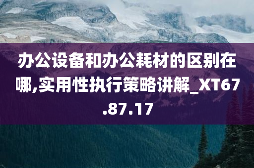 办公设备和办公耗材的区别在哪,实用性执行策略讲解_XT67.87.17