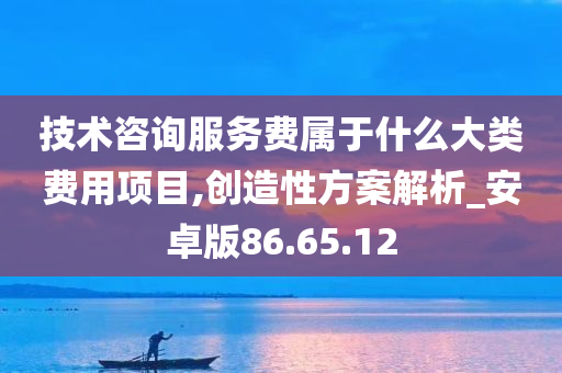 技术咨询服务费属于什么大类费用项目,创造性方案解析_安卓版86.65.12