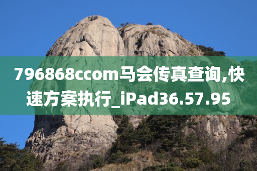 796868cсоm马会传真查询,快速方案执行_iPad36.57.95