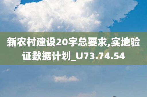 新农村建设20字总要求,实地验证数据计划_U73.74.54