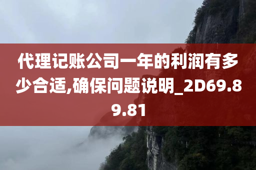 代理记账公司一年的利润有多少合适,确保问题说明_2D69.89.81