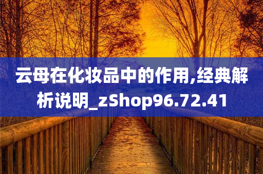 云母在化妆品中的作用,经典解析说明_zShop96.72.41