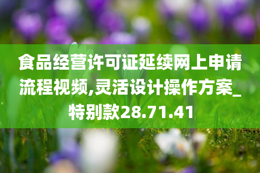 食品经营许可证延续网上申请流程视频,灵活设计操作方案_特别款28.71.41