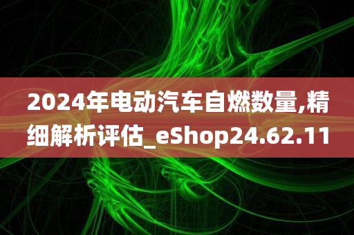 2024年电动汽车自燃数量,精细解析评估_eShop24.62.11