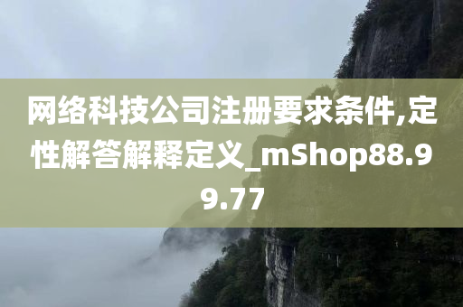 网络科技公司注册要求条件,定性解答解释定义_mShop88.99.77