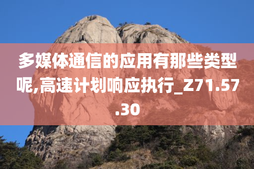 多媒体通信的应用有那些类型呢,高速计划响应执行_Z71.57.30