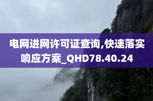 电网进网许可证查询,快速落实响应方案_QHD78.40.24