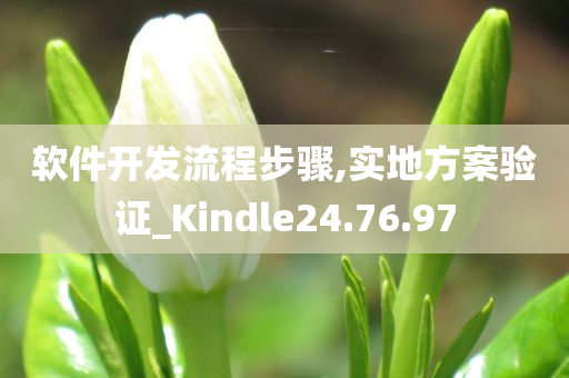 软件开发流程步骤,实地方案验证_Kindle24.76.97