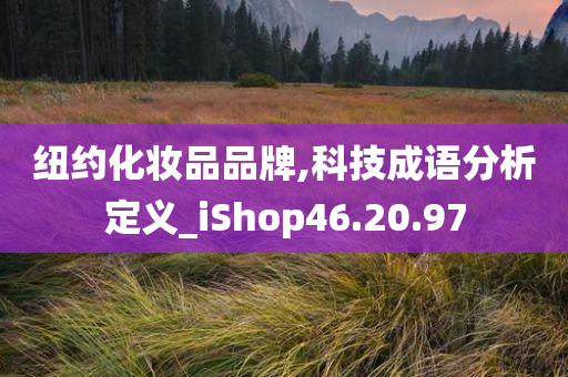 纽约化妆品品牌,科技成语分析定义_iShop46.20.97