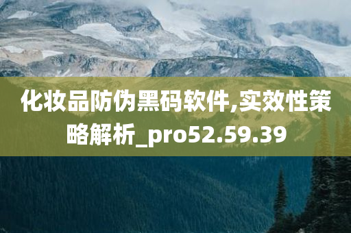 化妆品防伪黑码软件,实效性策略解析_pro52.59.39