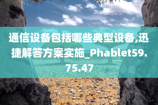 通信设备包括哪些典型设备,迅捷解答方案实施_Phablet59.75.47