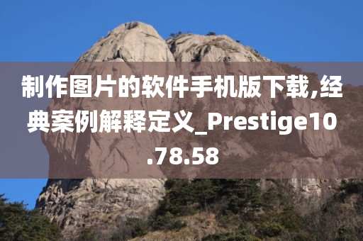 制作图片的软件手机版下载,经典案例解释定义_Prestige10.78.58