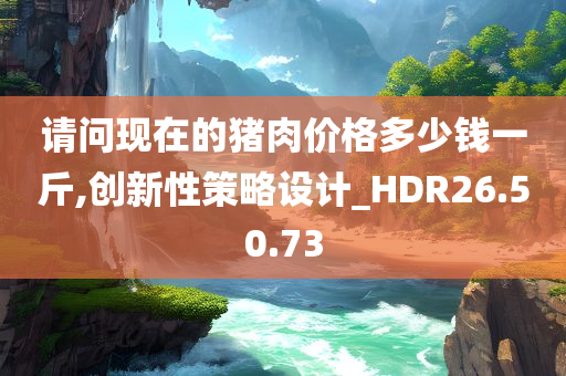 请问现在的猪肉价格多少钱一斤,创新性策略设计_HDR26.50.73